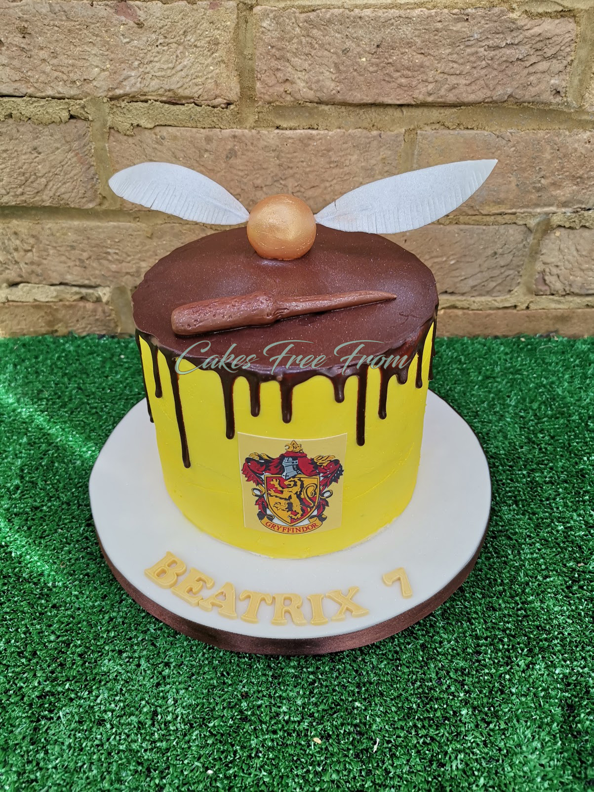 Harry Potter Drip Cake